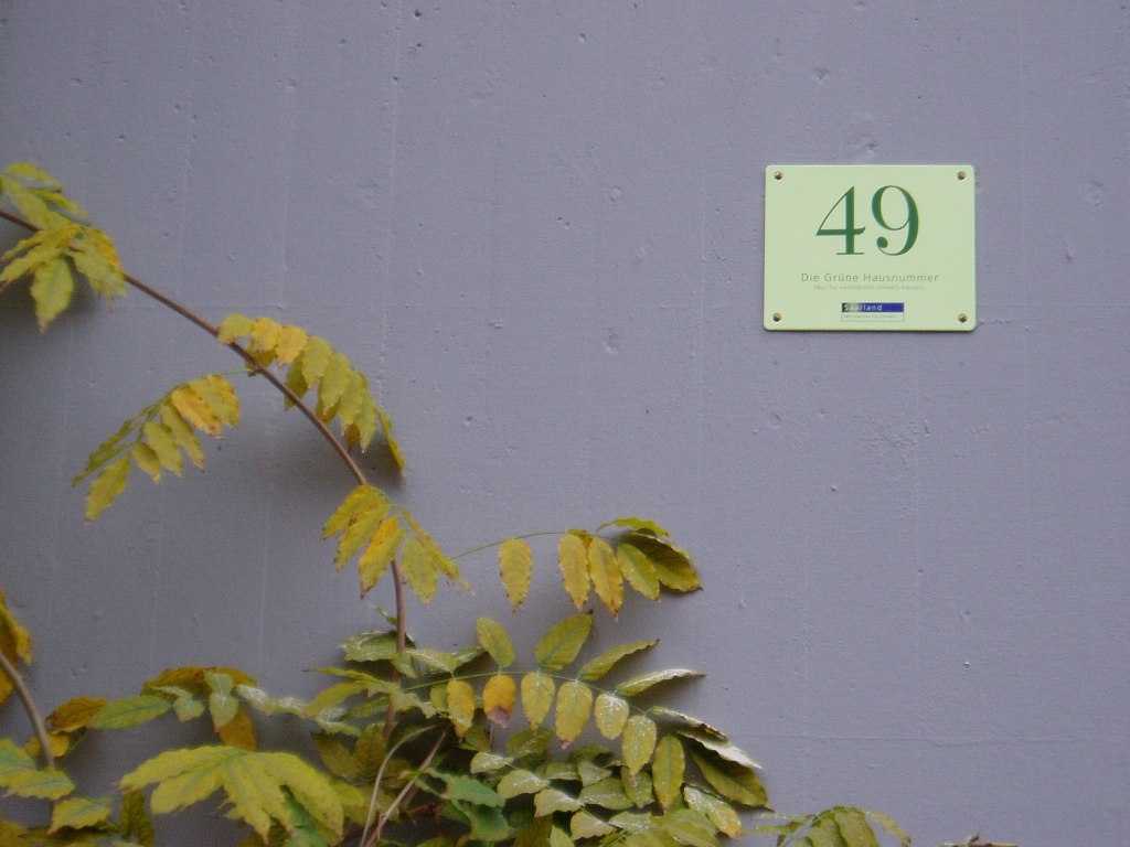 Grne Hausnummer Kaiserstrae 49
